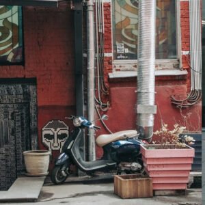 Offer guided tours for city sightseeing